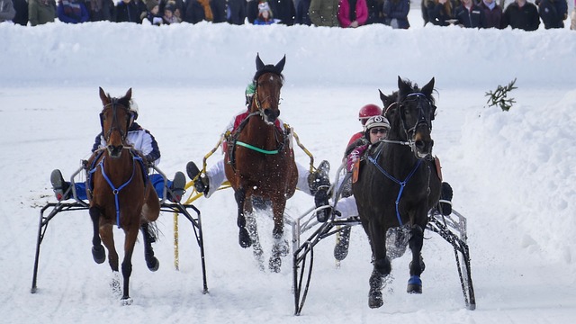皇马目前仍支持阿隆索，继任者已排除齐达内和克洛普